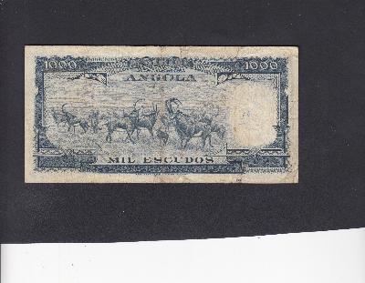 Beschrijving achterzijde: HERD